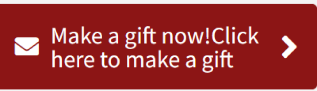 make a gift button